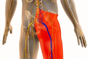 Sciatica in 2025: What’s New in Diagnosis and Treatment?